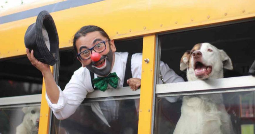 Clown and dog say hello by sticking their heads out the window of a school bus.